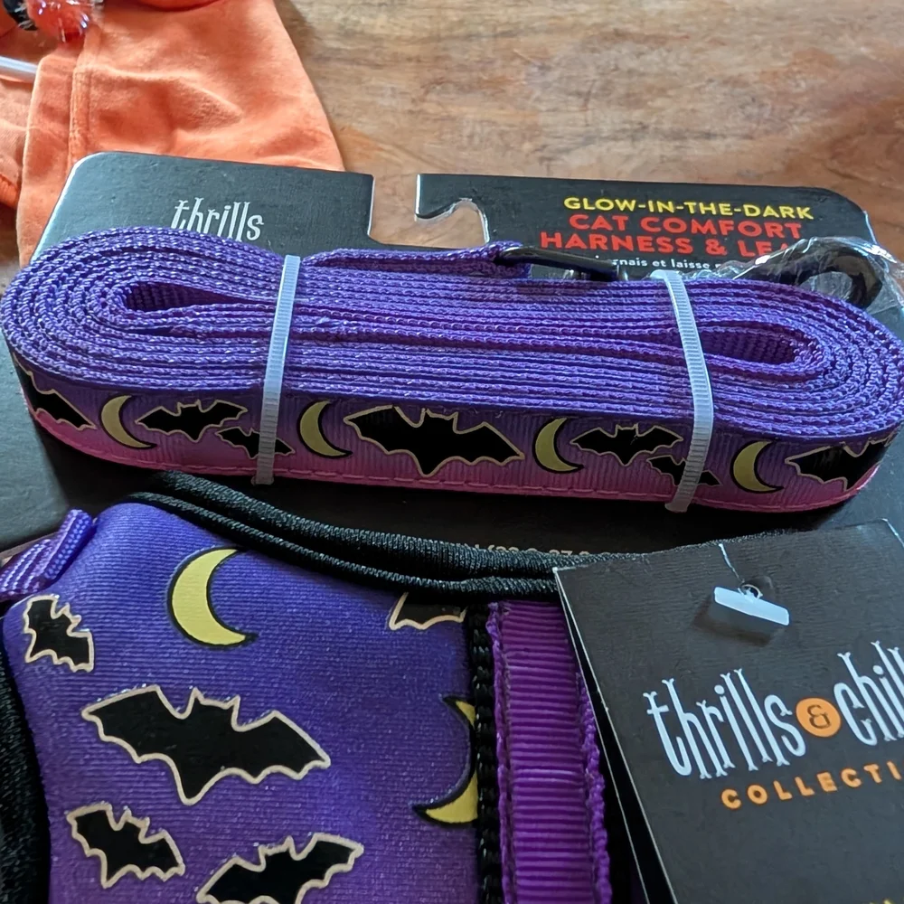 thrills & chills Glow-in-the-Dark Cat Harness & Orange Halloween Cat Shirt Set